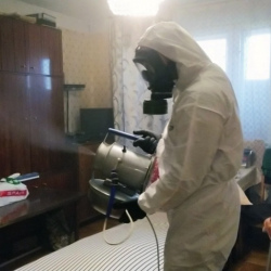 Дезинфекция от клопов в Лабытнанги