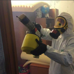 Уничтожение клопов в квартире. Лабытнанги